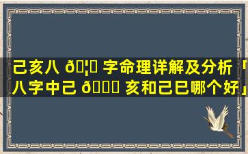 己亥八 🦍 字命理详解及分析「八字中己 💐 亥和己巳哪个好」